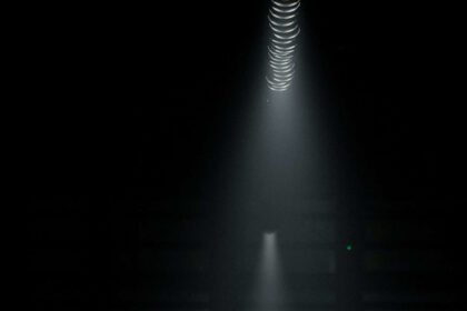 Den senaste Versace-visningen6