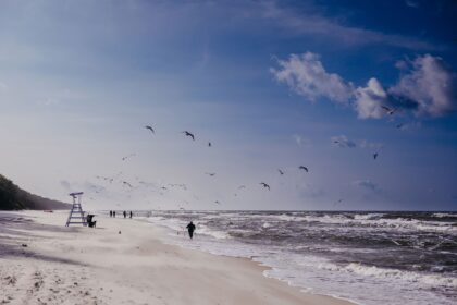 Vinterpromenader vid havet Linea Mare