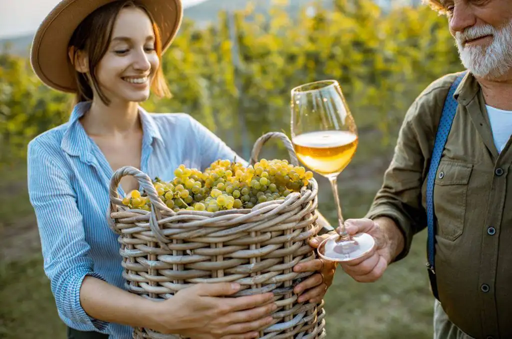 Digitalisering av vinmarknaden i Polen Teknik, utmaningar och framtid