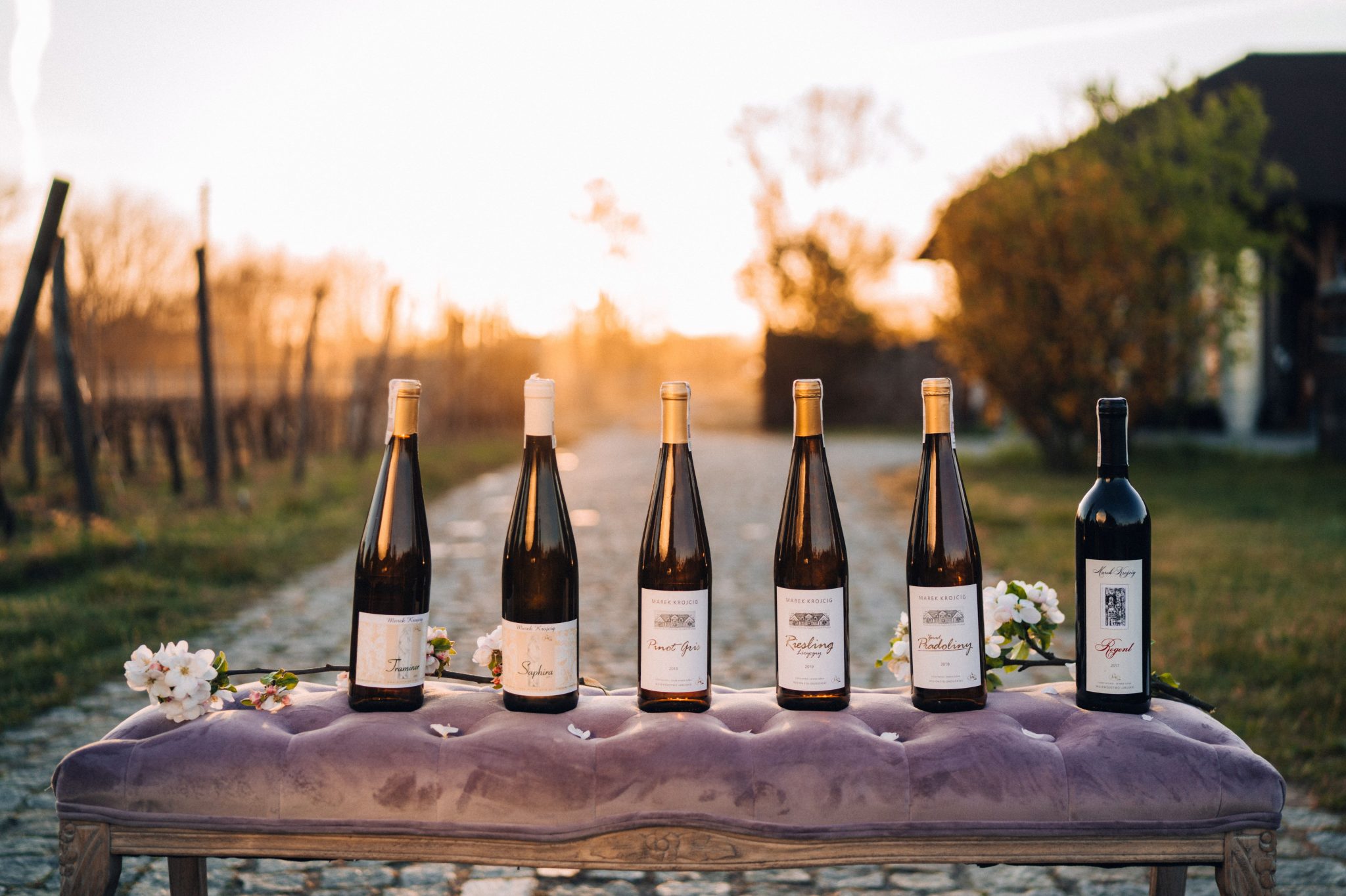 Ving&aring;rdar i Zielona G&oacute;ra