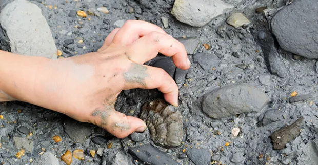 Hur man investerar i fossil