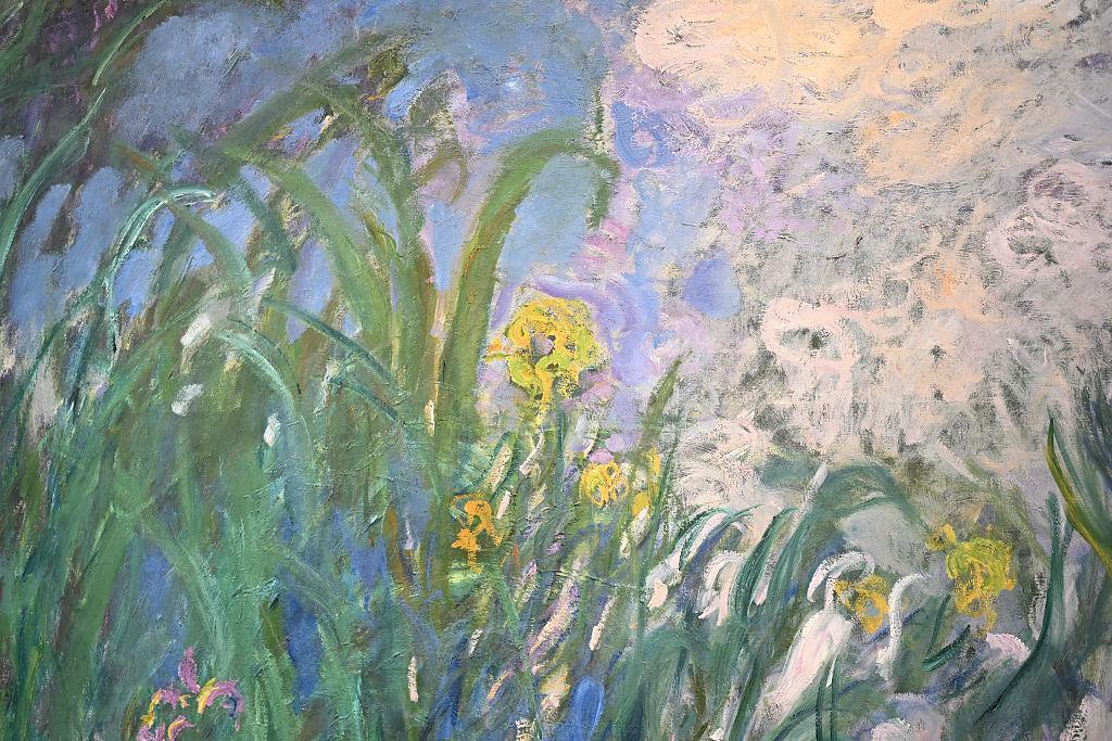 Monet Irisar